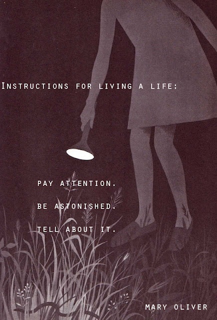 Instructions for living a life. Pay attention. Be astonished. Tell about it.