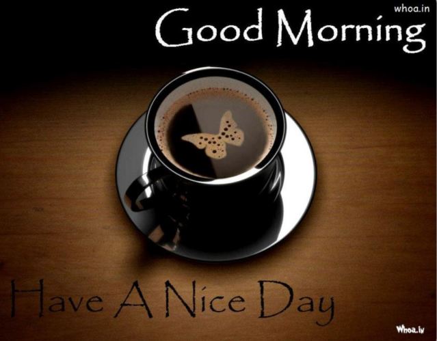 cup of coffee with a butterfly in the foam. Good morning, have a nice day