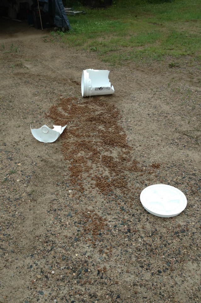 IMG_20170712_101919310