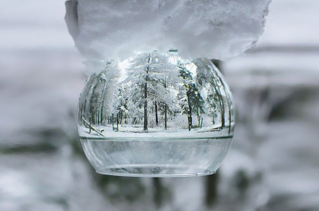 reflection-photography-46