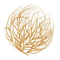 1510582967-TWC-Tumbleweed-Color-Logo-Mark