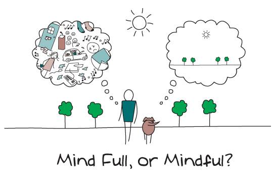 blog-mind-full-or-mindful