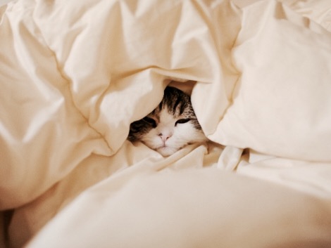 under the covers