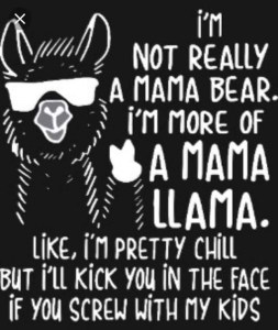 IMG_20190228_163719_01