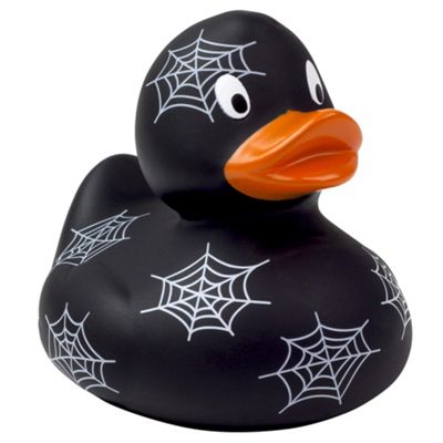 duck spider web