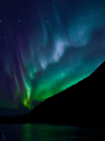 green, blue, and purple northern lights gently flowing in the night sky