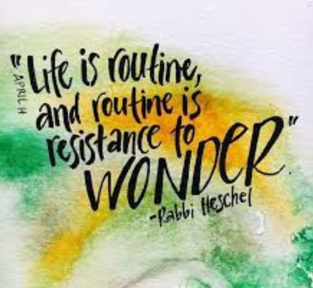 routine is resistance to wonder