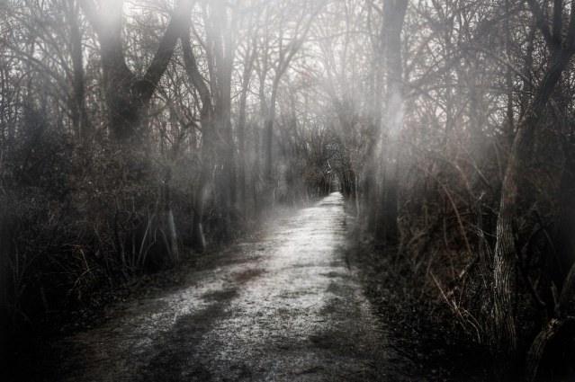 dark path 2