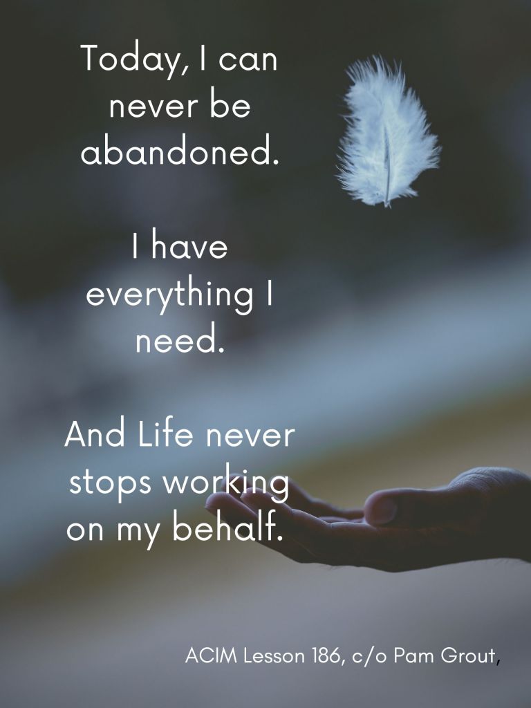 Today, I can never be abandoned. I have everything I need, and life never stops working on my behalf. A course in miracles lesson 186, as interpreted by Pam Grout.