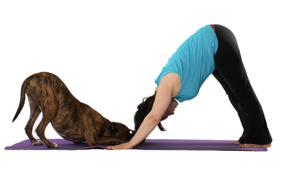 photo of a woman and a dog head to head, each in downward dog pose