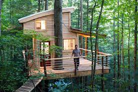 tree house home