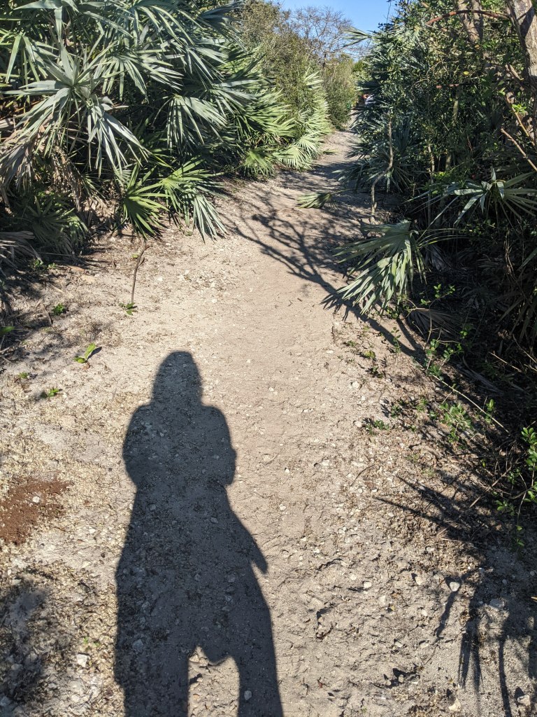 nature path, shadow of the author walking down it
