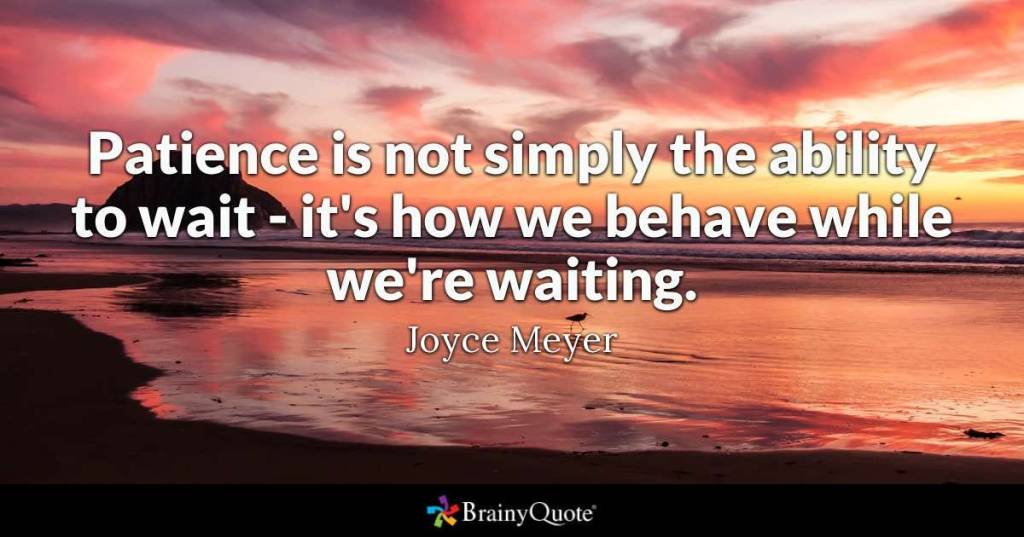 Patience is not simply the ability to wait -- it's how we behave while we're waiting. Joyce Meyer