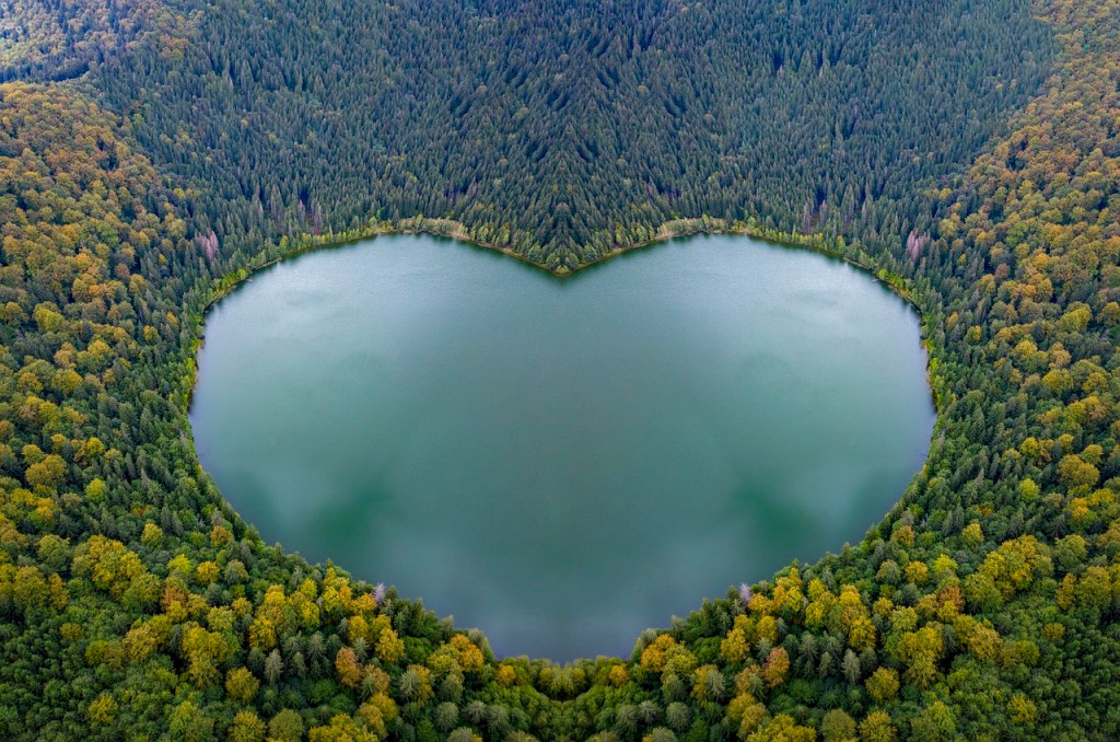 aerial view of a lake surrounded by trees, in the shape of a heart
