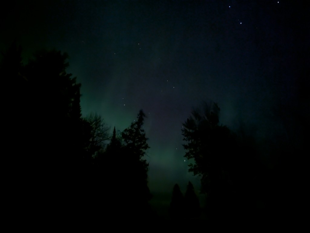 green and blueish northern lights through the trees, over a lake and with stars